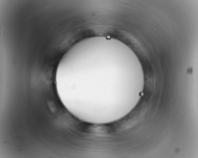 X0000103960221200809191519