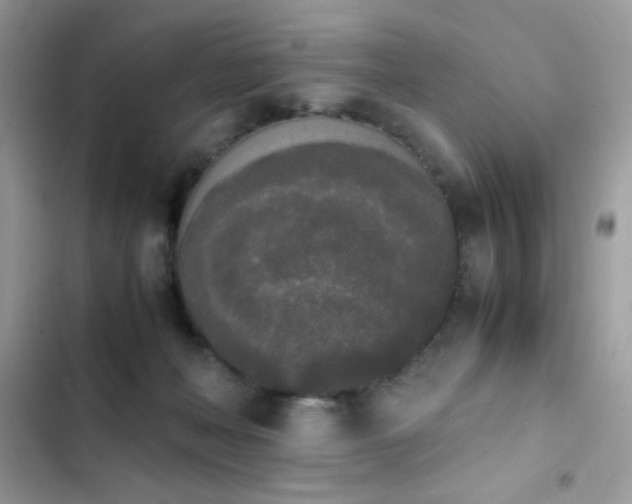 X0000103960222200809191519
