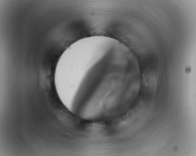 X0000103960223200809191519