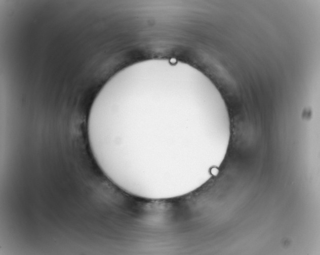 X0000103960225200809191518