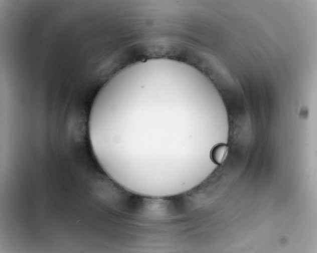 X0000103960226200809191518