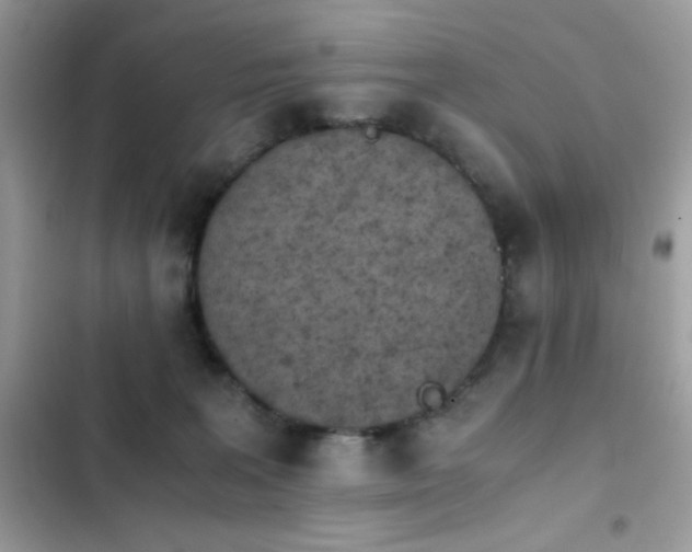 X0000103960227200809191518