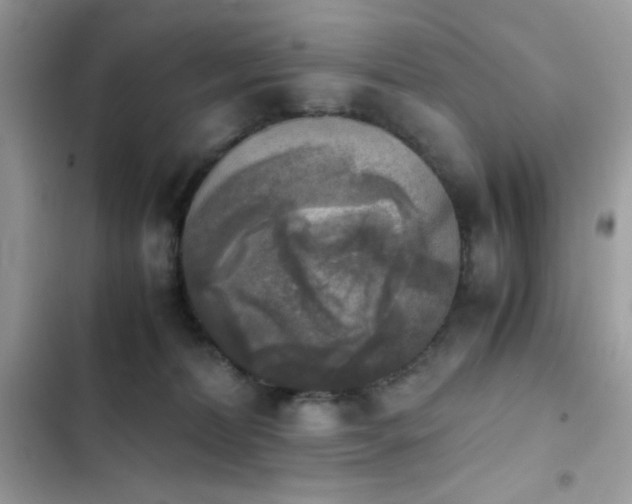 X0000103960228200809191518