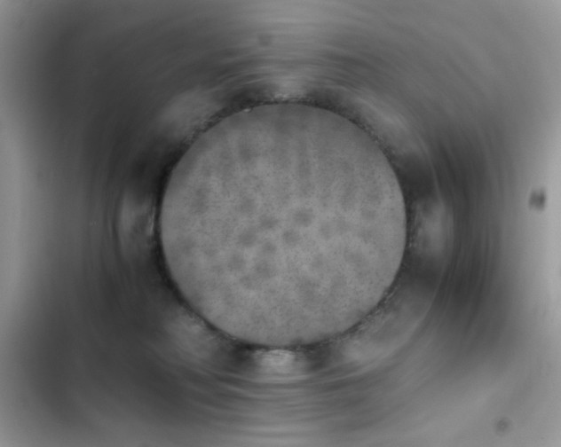 X0000103960230200809191518