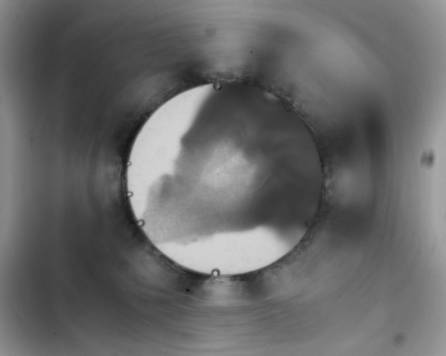 X0000103960231200809191518
