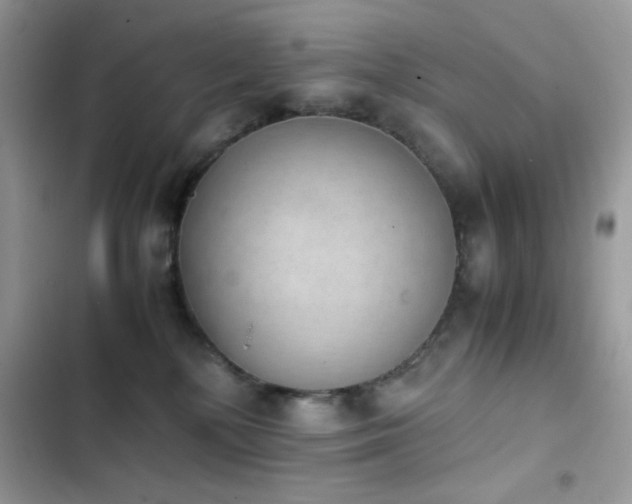 X0000103960232200809191518