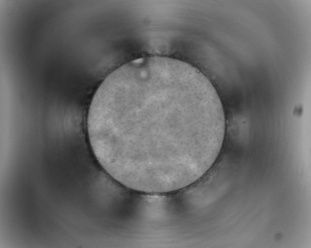 X0000103960233200809191518
