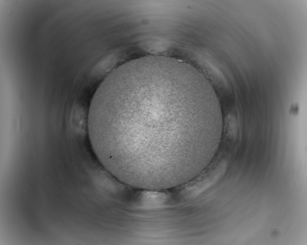 X0000103960234200809191518