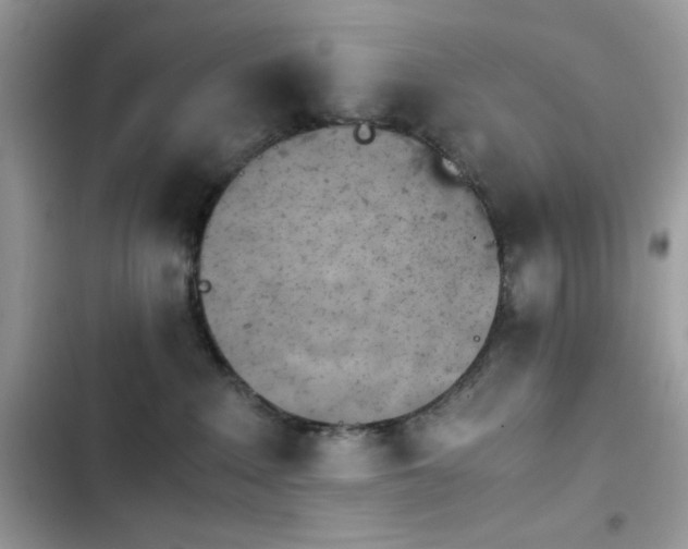 X0000103960235200809191518