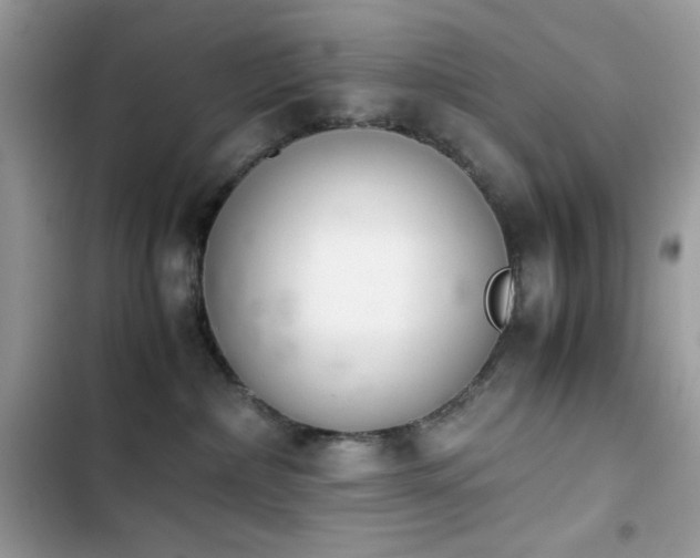 X0000103960236200809191518