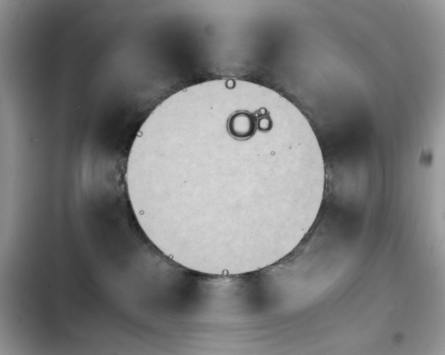 X0000103960237200809191518