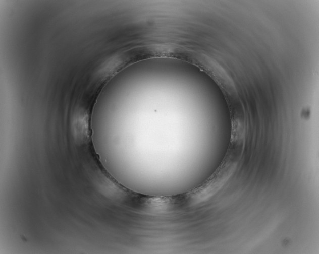 X0000103960238200809191518