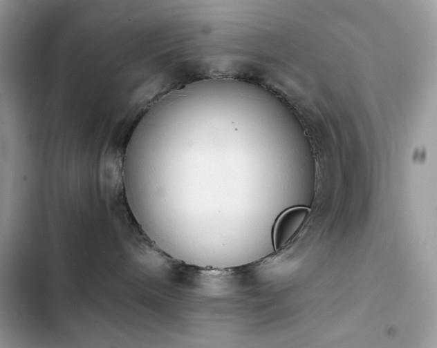 X0000103960240200809191518