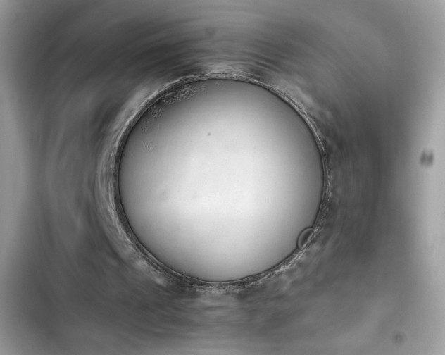 X0000103960241200809191517