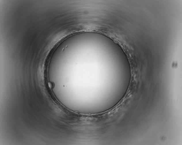 X0000103960242200809191517