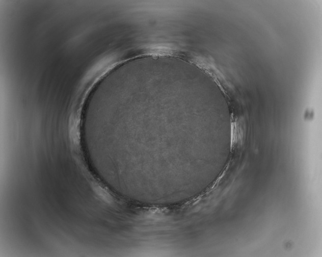 X0000103960243200809191517