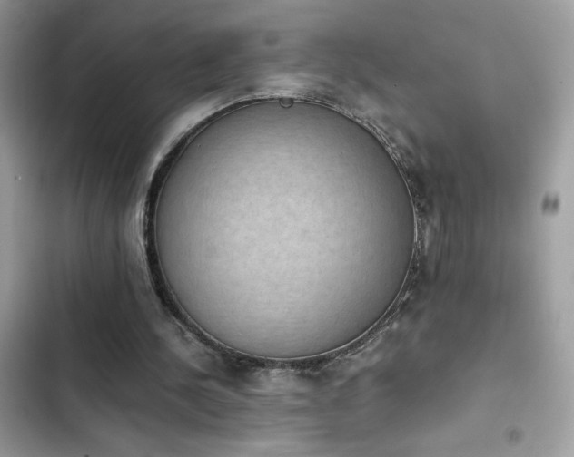 X0000103960244200809191517