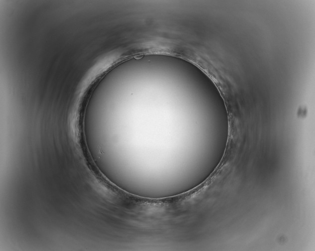X0000103960245200809191517
