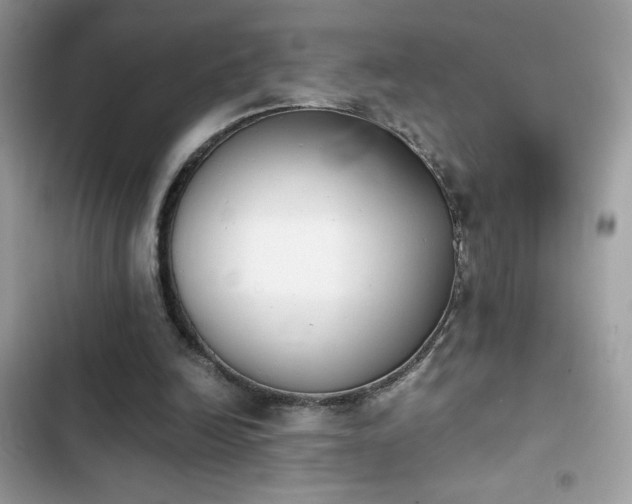 X0000103960246200809191518