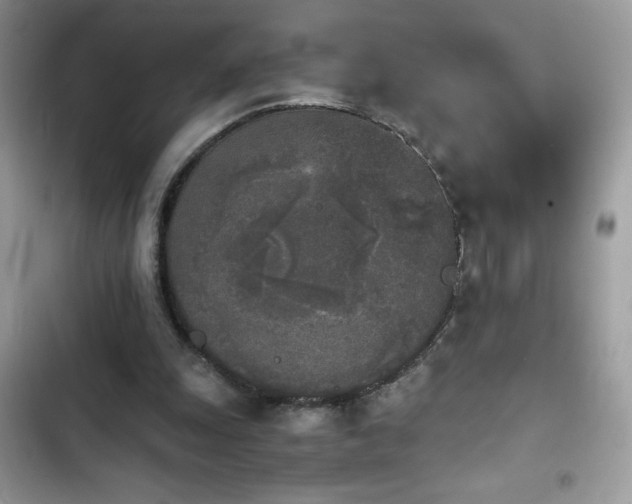 X0000103960247200809191518