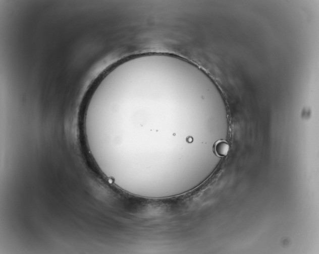 X0000103960248200809191518