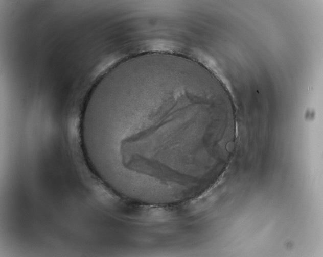 X0000103960249200809191518