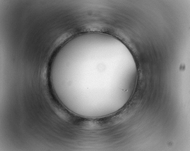 X0000103960250200809191518