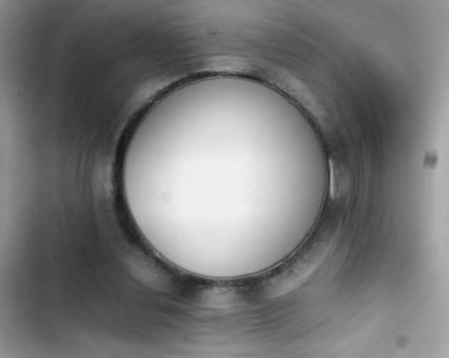 X0000103960252200809191518