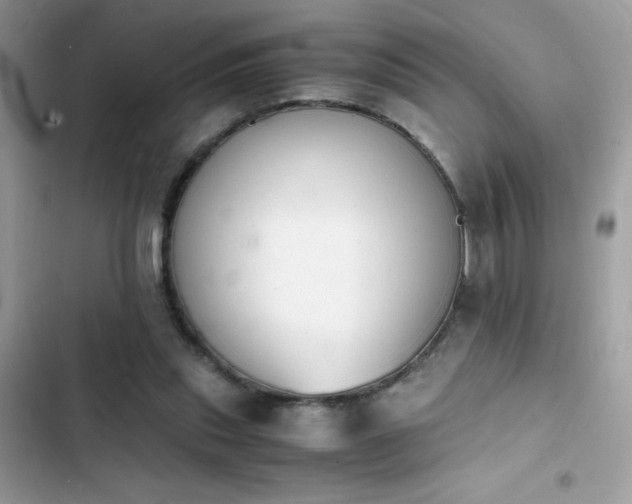 X0000103960253200809191518