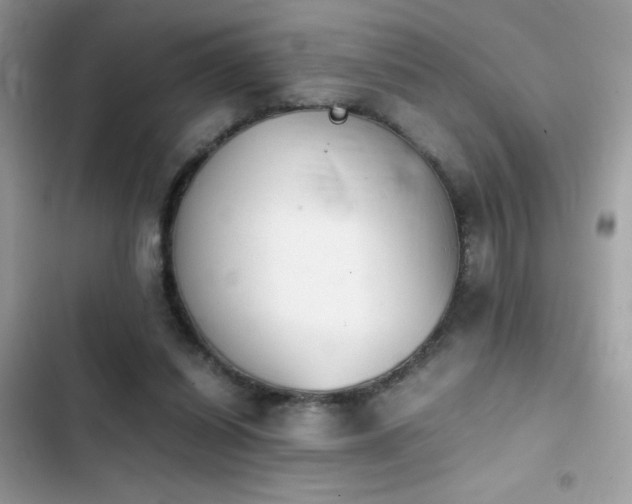 X0000103960254200809191518