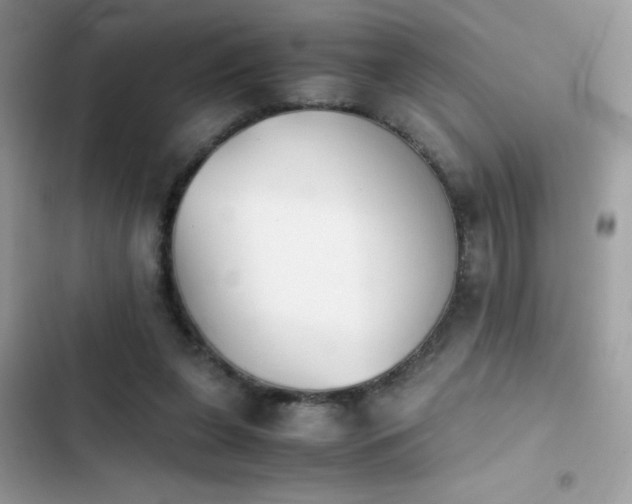 X0000103960255200809191518