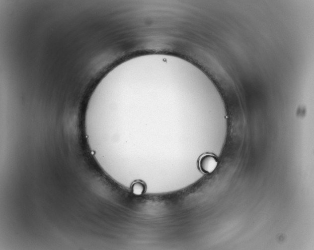 X0000103960256200809191518