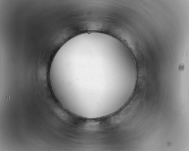 X0000103960257200809191518