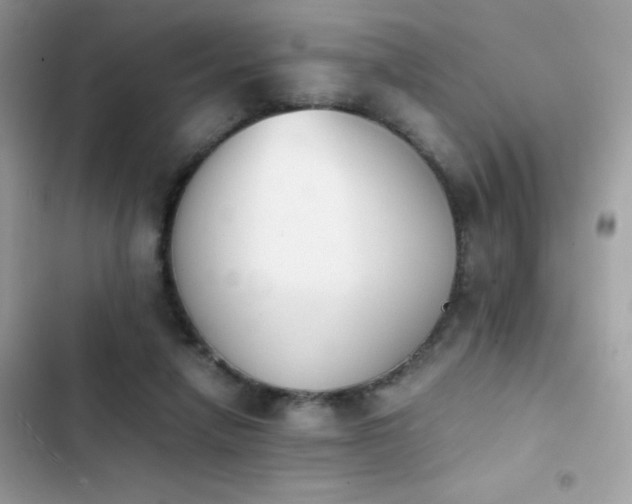 X0000103960258200809191518