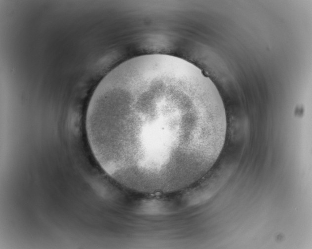 X0000103960259200809191518