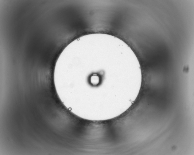 X0000103960260200809191518
