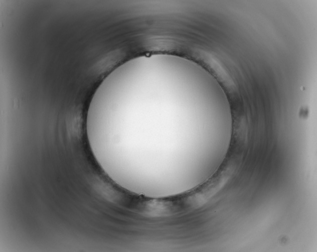 X0000103960261200809191518