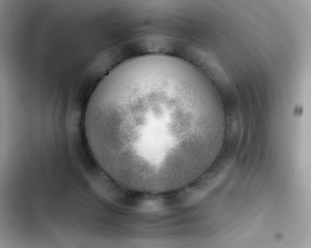 X0000103960263200809191518