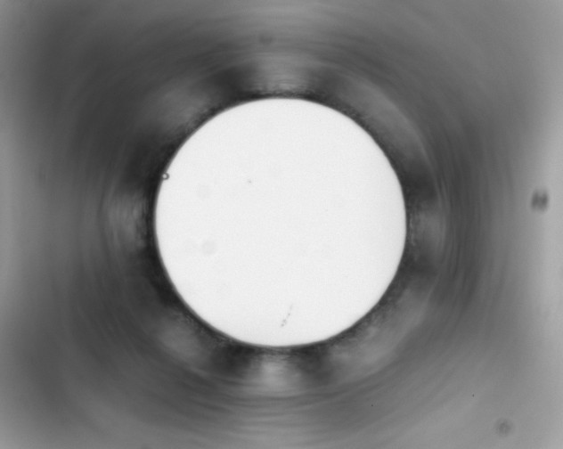 X0000103960264200809191518