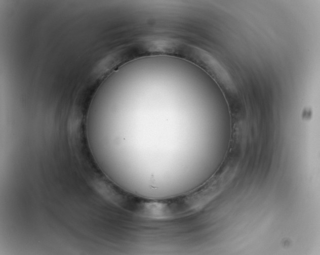 X0000103960265200809191518