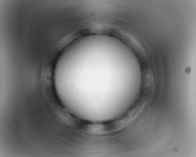 X0000103960266200809191518