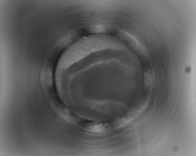 X0000103960267200809191518