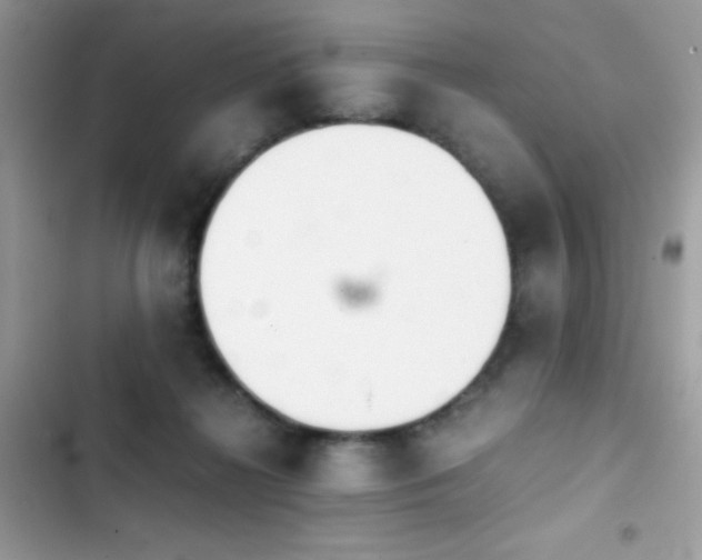 X0000103960268200809191518