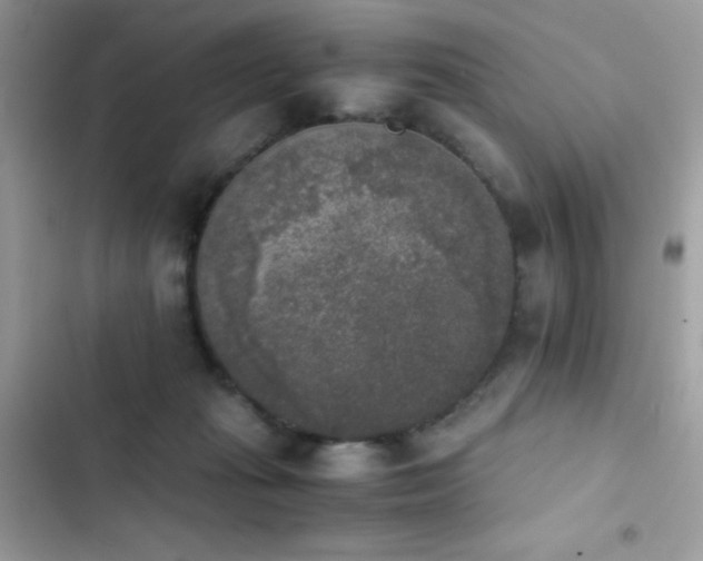 X0000103960269200809191518