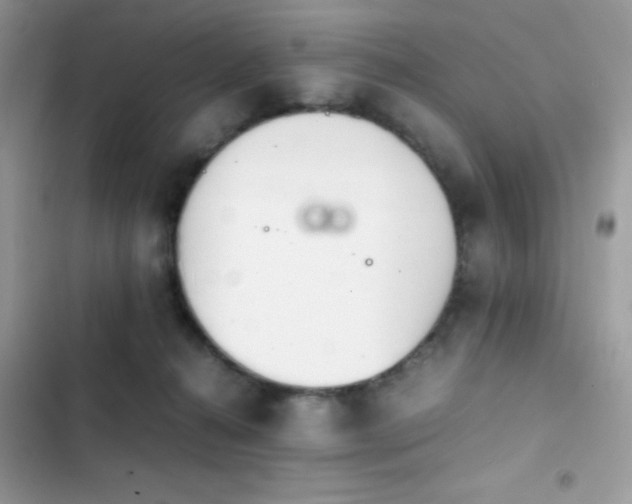 X0000103960272200809191518
