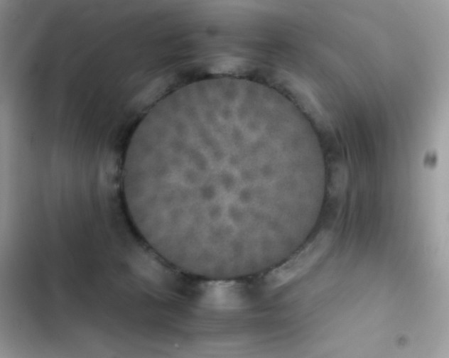 X0000103960273200809191518