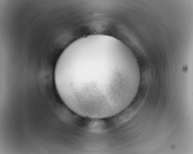 X0000103960274200809191518