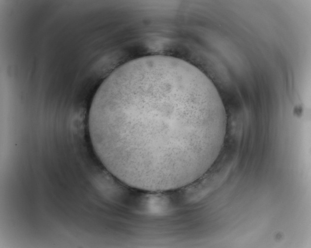X0000103960275200809191518