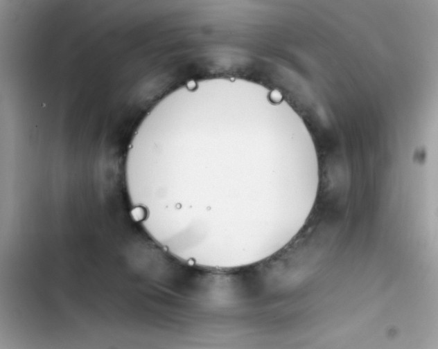 X0000103960276200809191518