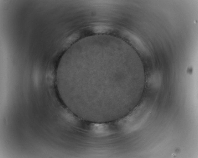 X0000103960277200809191518